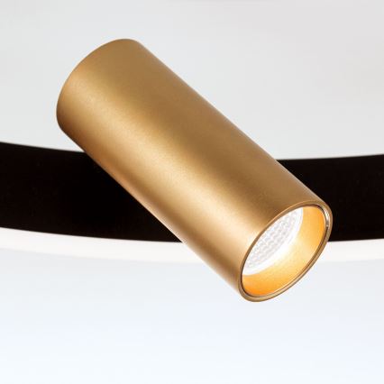 Dimeriuojamas LED lubinis šviestuvas BERLIN LED/50W/230V juodas/auksinis