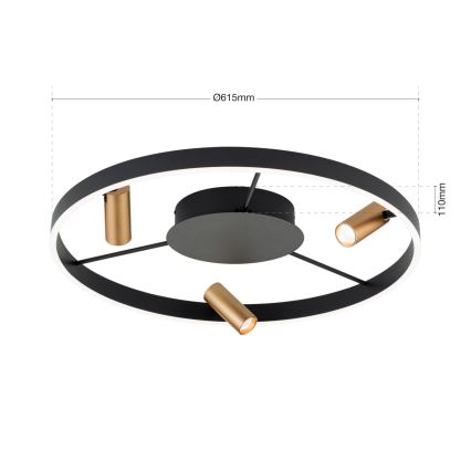 Dimeriuojamas LED lubinis šviestuvas BERLIN LED/50W/230V juodas/auksinis