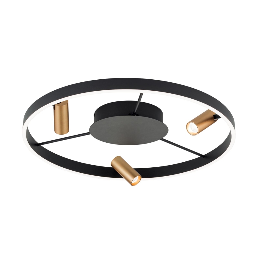 LED Pritemdomas lubinis šviestuvas BERLIN LED/50W/230V juoda/auksas