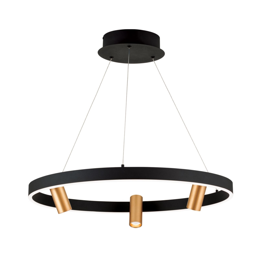 LED Reguliuojamas pakabinamas sietynas BERLIN LED/50W/230V juoda/auksas