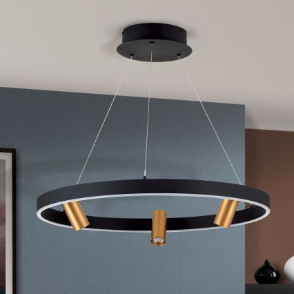 LED Reguliuojamas pakabinamas sietynas BERLIN LED/50W/230V juoda/auksas