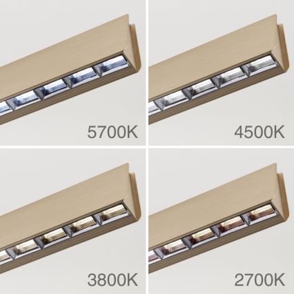 LED Reguliuojamas pakabinamas sietynas TARA LED/44W/230V 2700/3800/4500/5700K auksas