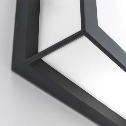 Lauko šviestuvas HENRY 2xE27/15W/230V IP44 antracitas