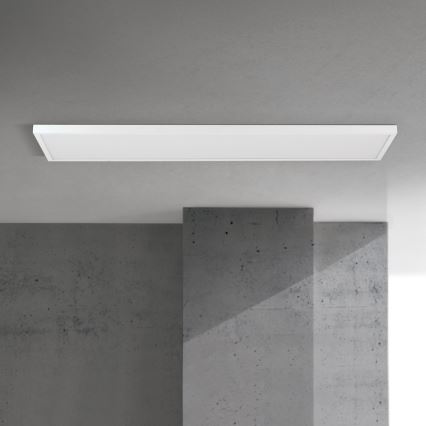 Dimeriuojama LED paviršiuje montuojama panelė DISC LED/40W/230V 2700/3000/4000K 115x30 cm balta