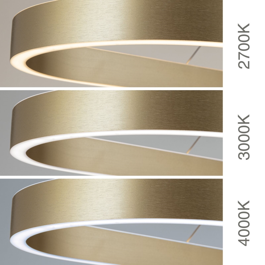 Pakabinama LED liustra ant troselio CARRARA LED/80W/230V 2700/3000/4000K auksinė