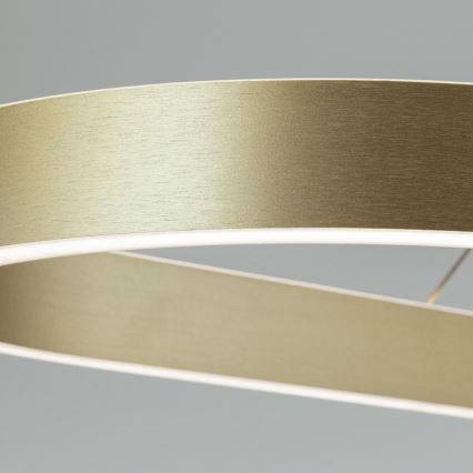 Pakabinama LED liustra ant troselio CARRARA LED/80W/230V 2700/3000/4000K auksinė