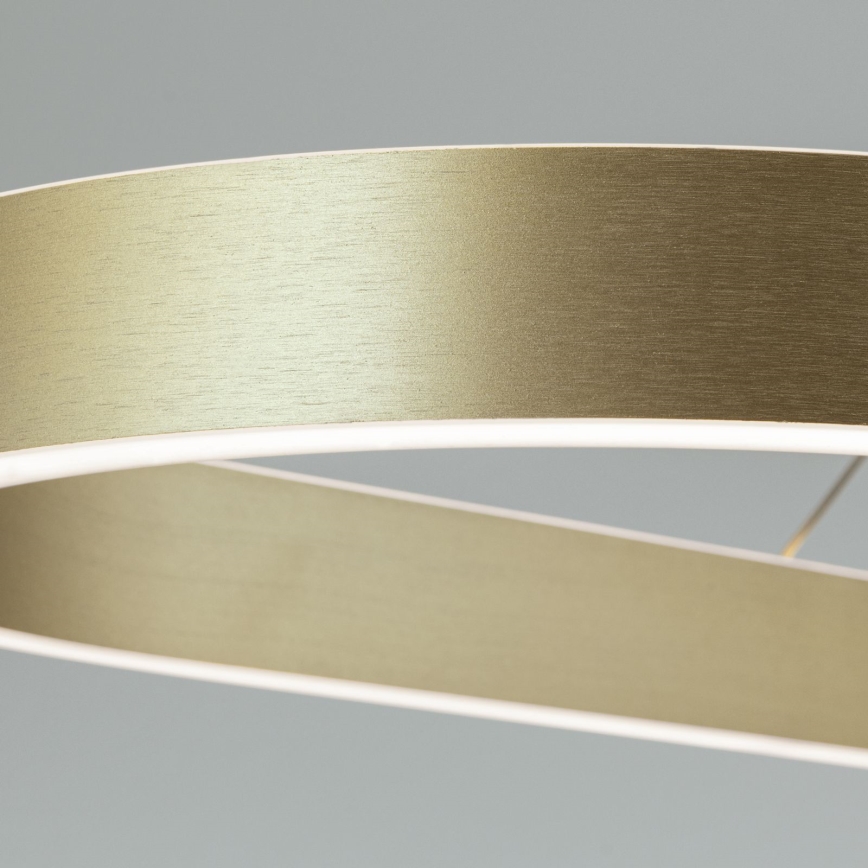 Pakabinama LED liustra ant troselio CARRARA LED/80W/230V 2700/3000/4000K auksinė