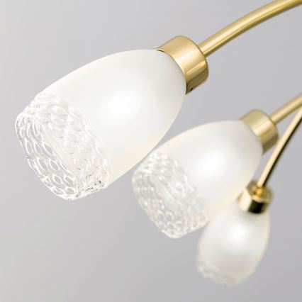 Liustra ant strypo CARLA 8xG9/28W/230V auksinė