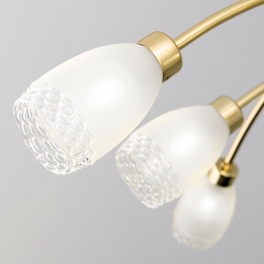 Liustra ant strypo CARLA 8xG9/28W/230V auksinė