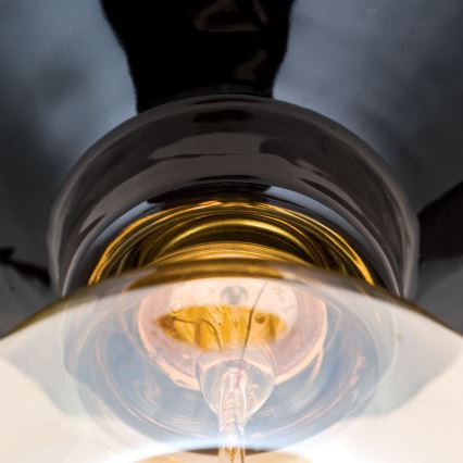 Lubinis šviestuvas FROST 1xE27/60W/230V juodas