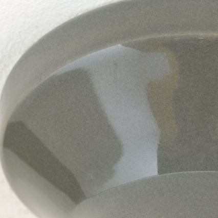 Lubinis šviestuvas FROST 1xE27/60W/230V pilka