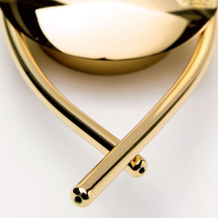 Sieninis šviestuvas CARLA 2xG9/28W/230V auksinis