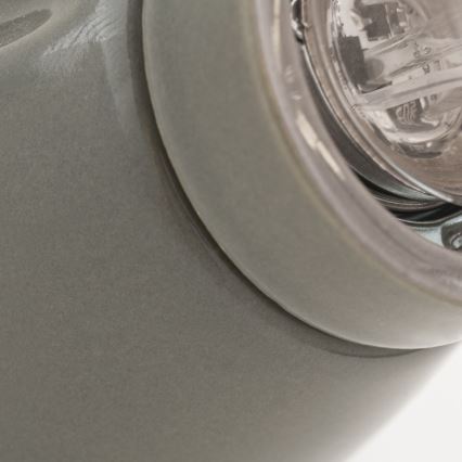 Sieninis šviestuvas FROST 1xE27/60W/230V pilkas