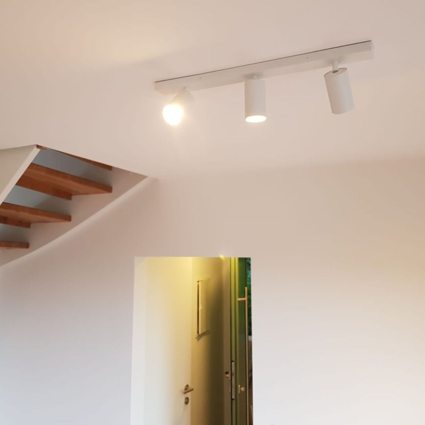 Sieninis taškinis šviestuvas SEAN 3xGU10/13W/230V, baltas