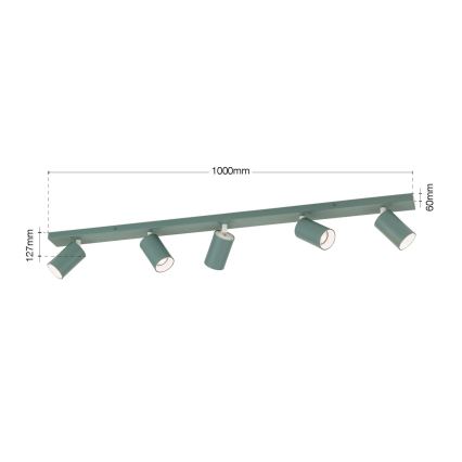 Taškinis šviestuvas PENN 5xGU10/13W/230V pilkas