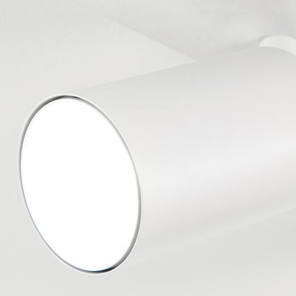 Taškinis šviestuvas SEAN 5xGU10/13W/230V baltas