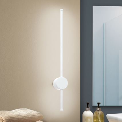 LED vonios veidrodžio apšvietimas FERDINAND LED/12W/230V IP54 balta