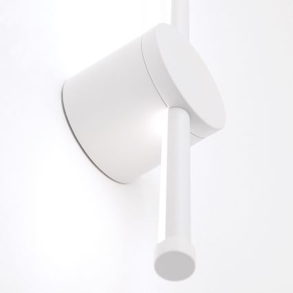 LED vonios veidrodžio apšvietimas FERDINAND LED/12W/230V IP54 balta