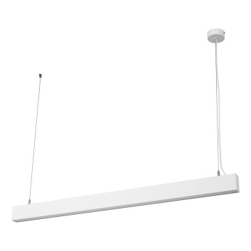 Osram - dimeriu reguliuojamas LED pakabinamas šviestuvas ant laido OFFICE LINE LED/42W/230V 4000K 112,6 cm balta