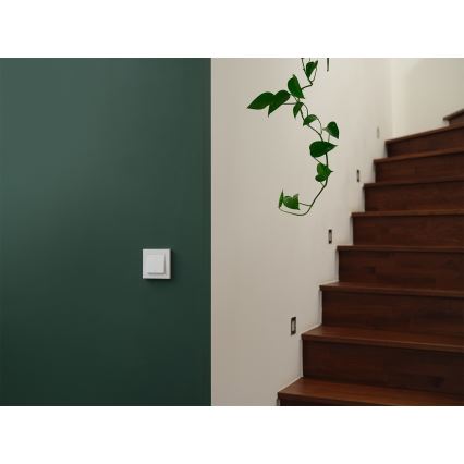 Osram - Dviejų mygtukų SMART+ MATTER 230V Wi‑Fi jungiklis