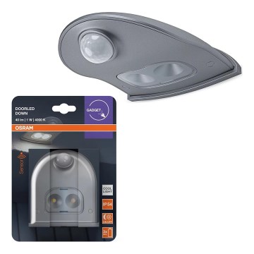 Osram - lauko LED sieninis šviestuvas su jutikliu DOORLED LED/0,5W/3xAA IP54 sidabrinis