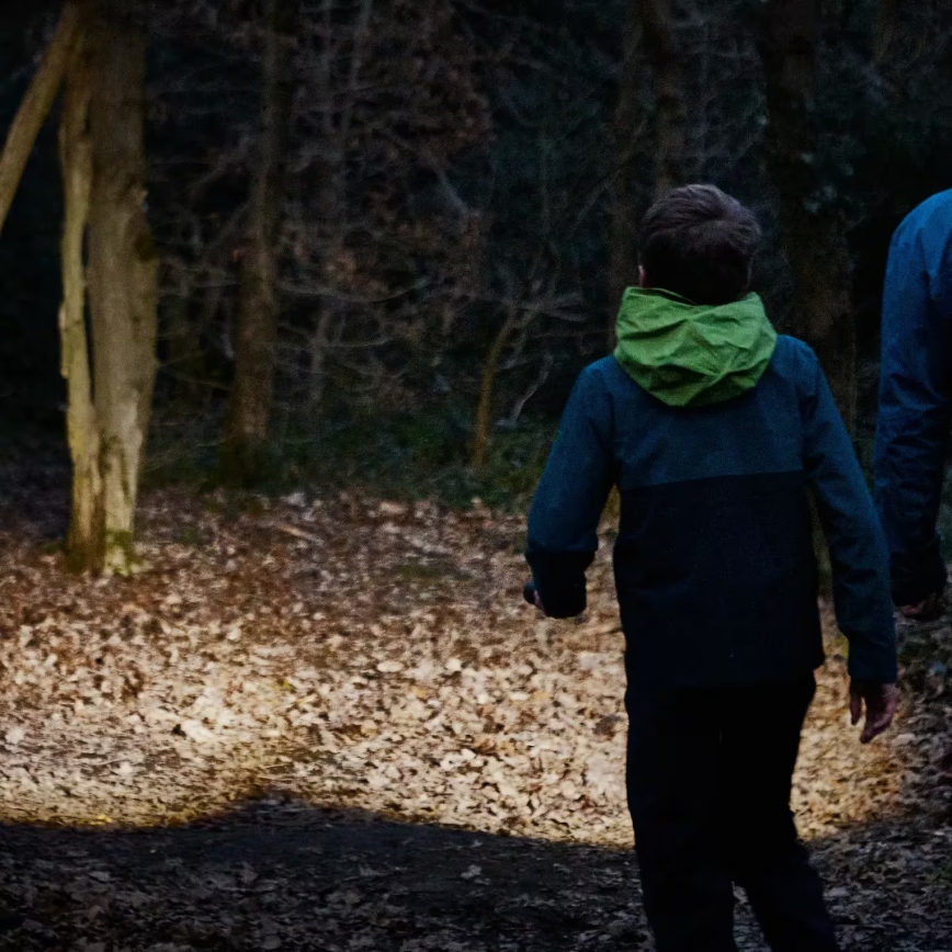 Osram - reguliuojamo ryškumo LED žibintuvėlis LEDINSPECT TORCH 450 ESSENTIAL LED/6W/3xAAA IP44