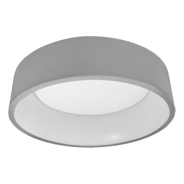 Osram - LED dimeriuojamas lubų šviestuvas SMART+ CYLINDER LED/24W/230V 3000K-6500K Wi-Fi