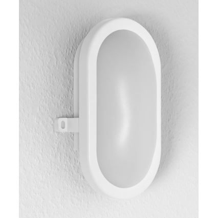 Osram - LED lauko sieninis šviestuvas BULKHEAD LED/11W/230V IP54 baltas