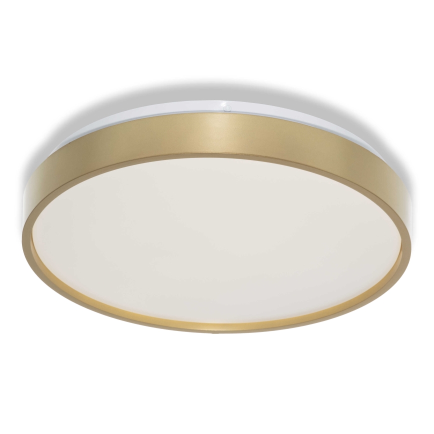 Osram - LED lubinis šviestuvas CEILING LUXO LED/18W/230V skersmuo 32 cm auksinis