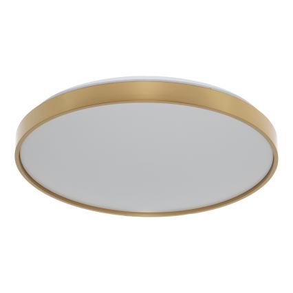 Osram - LED lubinis šviestuvas CEILING LUXO LED/36W/230V Ø 49 cm auksinis