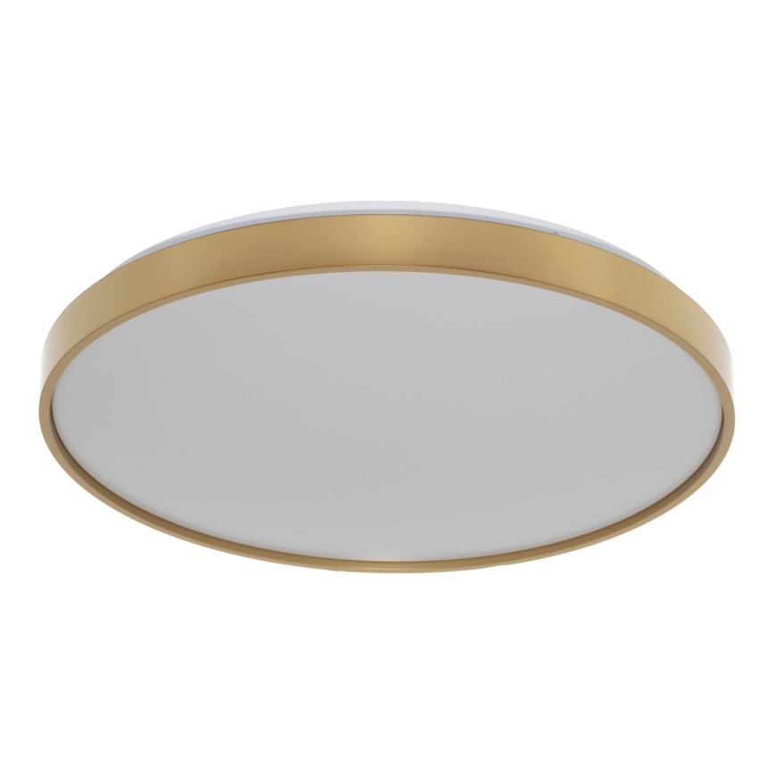 Osram - LED lubinis šviestuvas CEILING LUXO LED/36W/230V Ø 49 cm auksinis