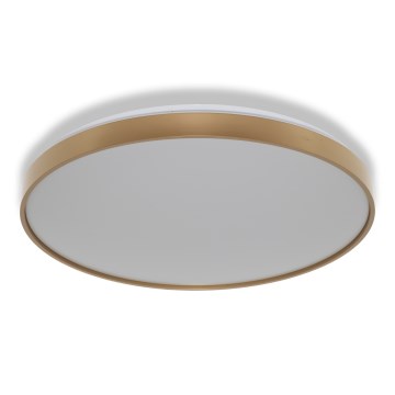 Osram - LED lubinis šviestuvas CEILING LUXO LED/60W/230V Ø 56 cm auksinis