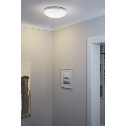 Osram - LED lubinis šviestuvas ESSENTIAL LED/13W/230V 6500K skersmuo 25 cm