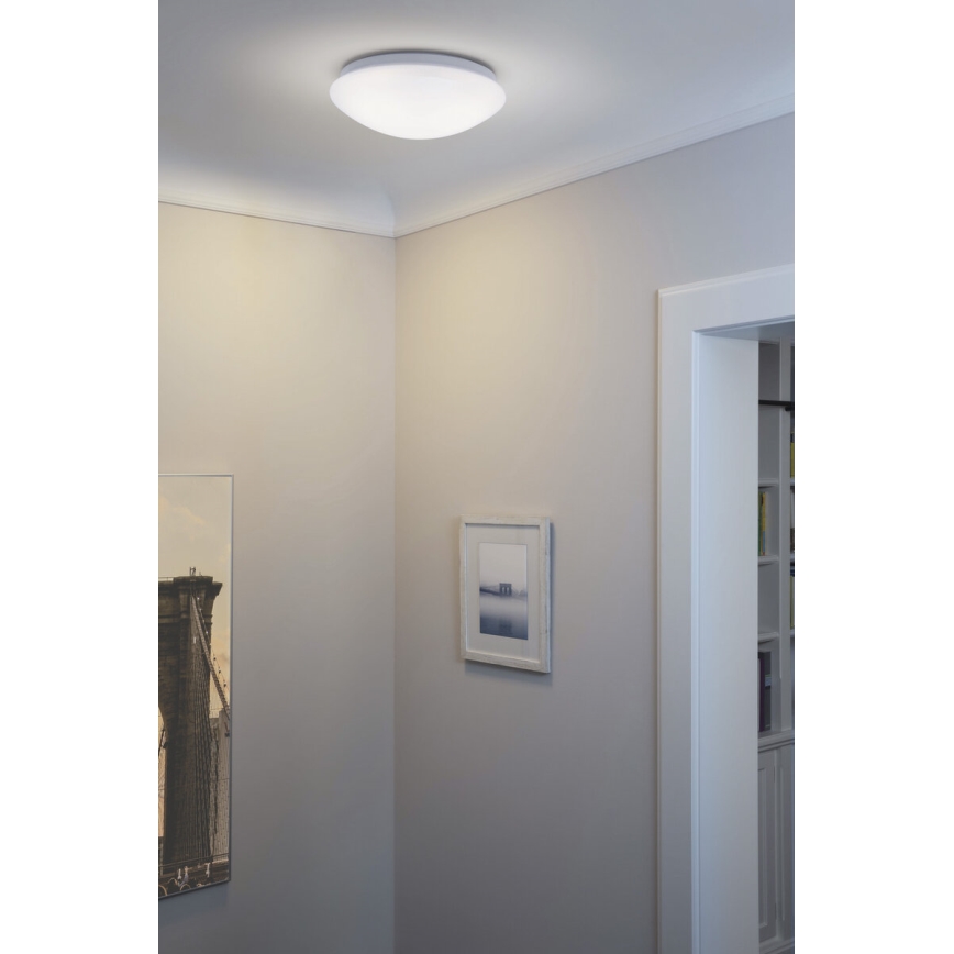 Osram - LED lubinis šviestuvas ESSENTIAL LED/13W/230V 6500K skersmuo 25 cm