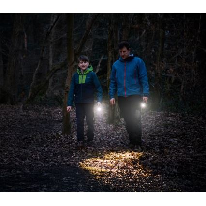 Osram - reguliuojamas LED žibintuvėlis LEDINSPECT TORCH 350 ESSENTIAL LED/4W/2xAAA IP44