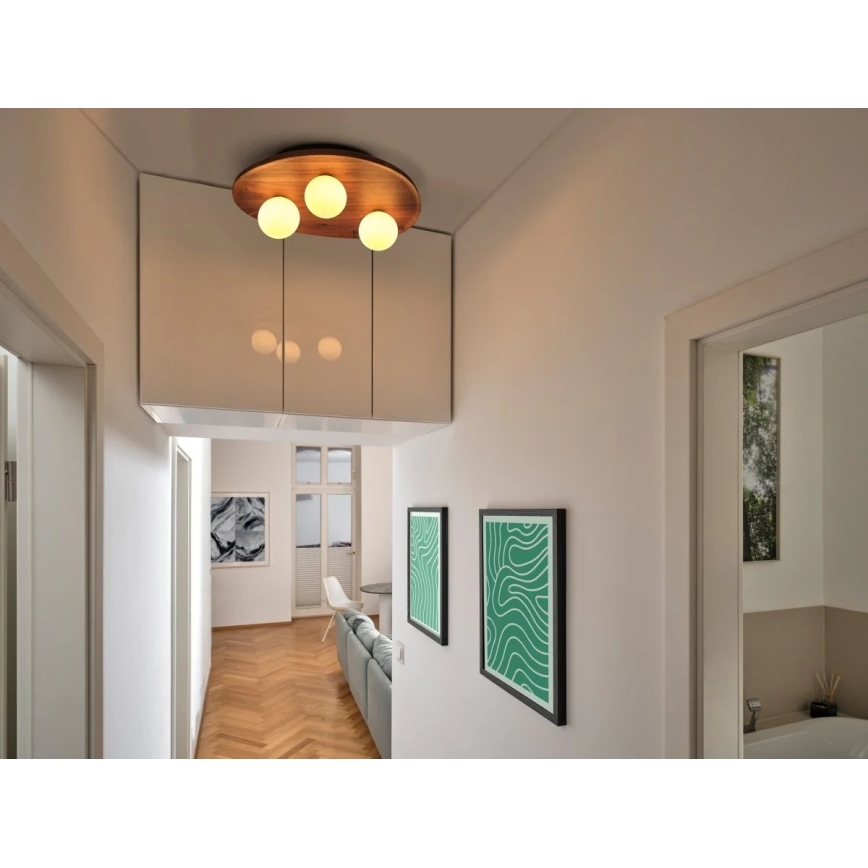 Osram - Lubinis šviestuvas ACACIA NEST 3xG9/5W/230V akacija