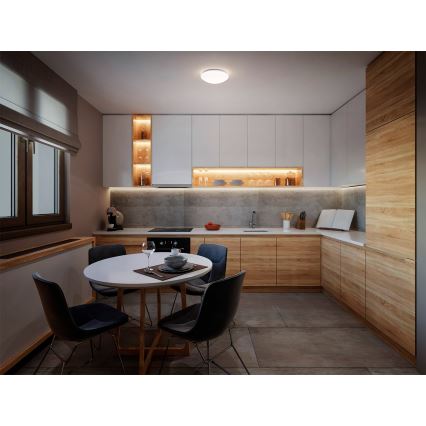 Osram - Lubų šviestuvas CEILING ESSENTIAL 1xE27/25W/230V, skersmuo 25 cm, baltas