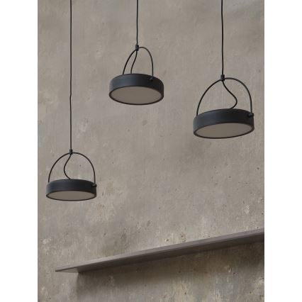 Osram - pakabinama LED liustra ant laido DECOR PUCK 3x LED/12 W/230 V CRI 90 juoda