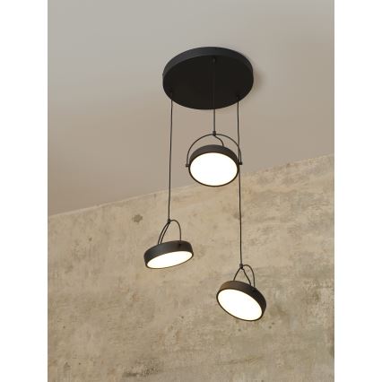 Osram - pakabinamas LED šviestuvas ant laido DECOR PUCK 3xLED/12W/230V CRI 90 juodas