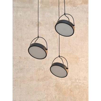 Osram - pakabinamas LED šviestuvas ant laido DECOR PUCK 3xLED/12W/230V CRI 90 juodas