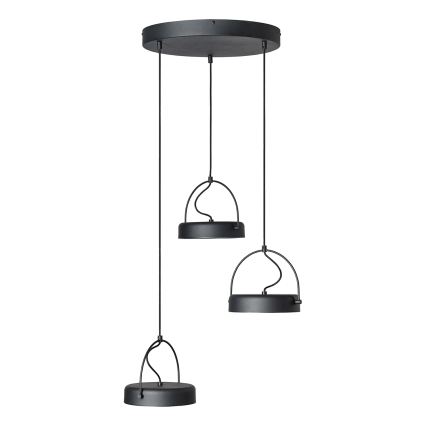 Osram - pakabinamas LED šviestuvas ant laido DECOR PUCK 3xLED/12W/230V CRI 90 juodas