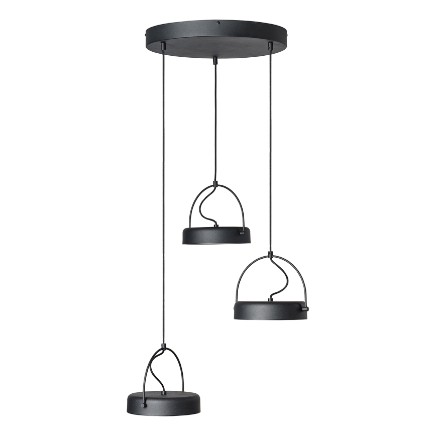 Osram - pakabinamas LED šviestuvas ant laido DECOR PUCK 3xLED/12W/230V CRI 90 juodas