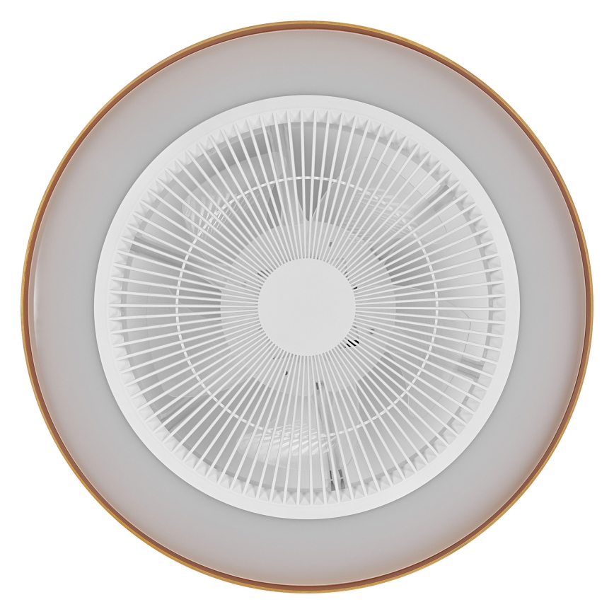 Osram - dimeriuojamas LED lubinis šviestuvas su ventiliatoriumi CEILING FAN LED/49W/230V 2700-6500K balta/auksinė + nuotolinis valdymas
