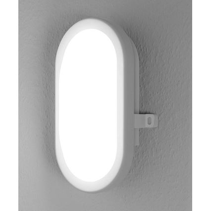 Osram - Sieninis LED lauko šviestuvas BULKHEAD 1xLED/11W/230V IP54