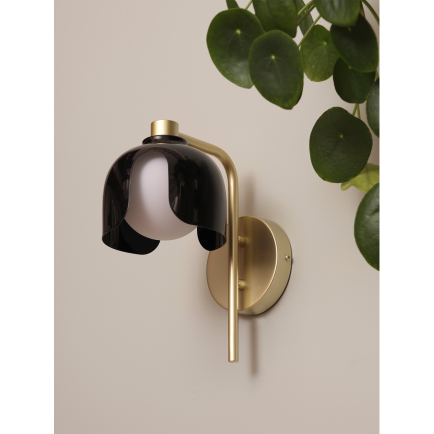 Osram - Sieninis šviestuvas DECOR COROLLE 1xG9/20W/230V juodas/auksinis