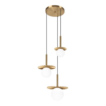 Pakabinama liustra ant laido CHITA 3xG9/5W/230V auksinė
