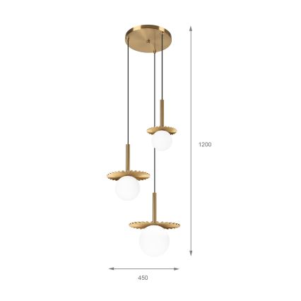 Pakabinama liustra ant laido CHITA 3xG9/5W/230V auksinė