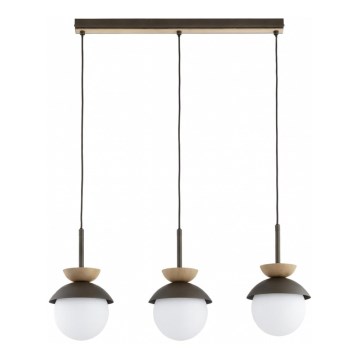 Pakabinama liustra ant laido REMKE 3xE14/10W/230V ruda