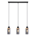Pakabinama liustra ant laido WOODNEST 3xE27/15W/230V pušis/dūminė juoda