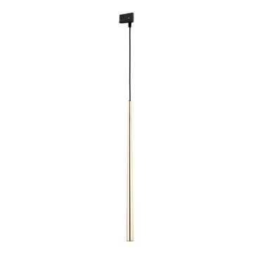 Pakabinamas sietynas 3 fazių bėgių sistemai PIANO 1xG9/8W/230V auksas/juoda